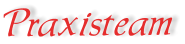 Praxisteam